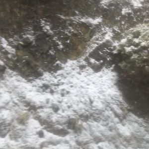 Meet your Posher, Holman